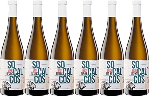 Fio Wein Socalcos 2021 Trocken (6 x 0.75 l) von WirWinzer