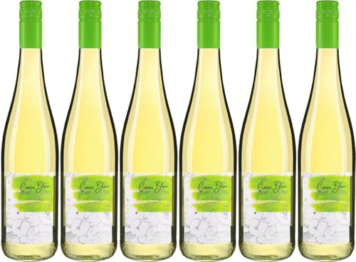 Forster Winzerverein Cuvee Blanc 2023 Trocken (6 x 0.75 l) von WirWinzer