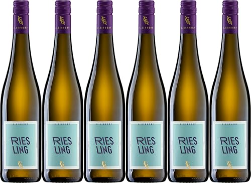 Günter Gindorf Riesling 2023 Halbtrocken (6 x 0.75 l) von WirWinzer