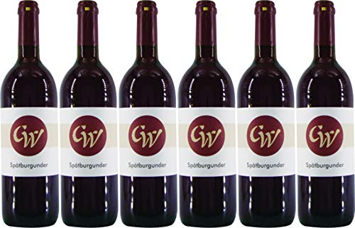 Jens Christmann Kindenheimer Sonnenberg Spätburgunder 2015 Trocken (6 x 0.75 l) von WirWinzer