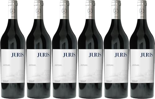 Juris Ursprung 2023 Trocken (6 x 0.75 l) von WirWinzer