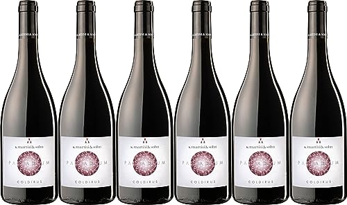 K. Martini & Sohn Coldirus Cuvée Palladium Vigneti delle Dolomiti IGP 2020 Trocken (6 x 0.75 l) von WirWinzer