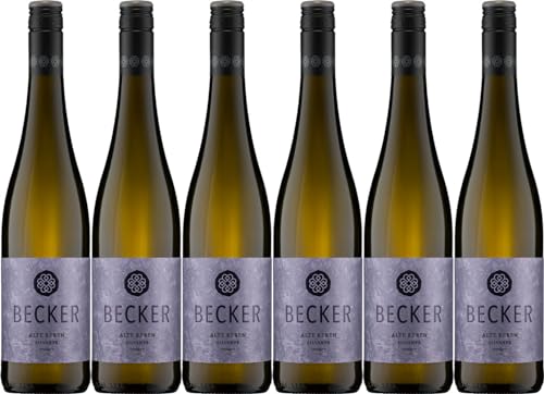 Karlheinz & Dominik Becker "Alte Reben" Silvaner 2023 Trocken (6 x 0.75 l) von WirWinzer