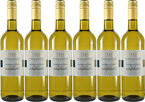 Klein Sauvignon Blanc Kollektion "Vögte von Hunolstein" 2020 Trocken (6 x 0.75 l) von WirWinzer