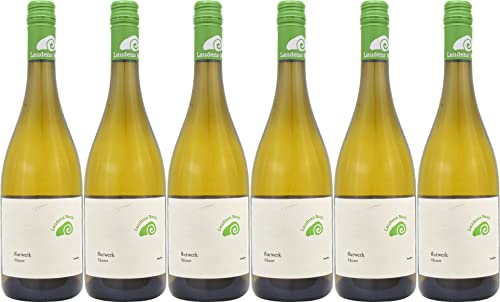 Laudens Bach Flurwerk Silvaner 2023 Trocken Bioland Bio (6 x 0.75 l) von WirWinzer