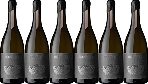 Terra Preta Huppert Terra Preta Rosé 2021 Trocken (6 x 0.75 l) von WirWinzer
