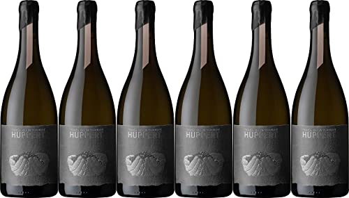 Terra Preta Huppert Terra Preta Rosé 2021 Trocken (6 x 0.75 l) von WirWinzer