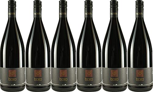 Lothar Kern Dornfelder 2023 Feinherb Demeter Bio (6 x 1.0 l) von WirWinzer