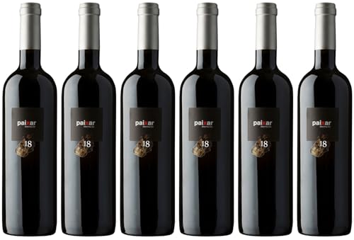 Luna Beberide Paixar Magnum Bierzo DO 2021 Trocken (6 x 1.5 l) von WirWinzer