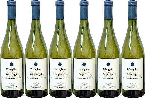 Mario Portolano Falanghina Campi Flegrei DOC Trocken (6 x 0.75 l) von WirWinzer