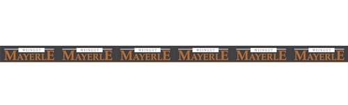 Mayerle Blaufränkisch Rosé "im Eichenfass gereift" 2022 Trocken (6 x 0.75 l) von WirWinzer