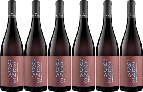 Modeano Refosco dal Peduncolo Rosso Friuli DOC 2021 Trocken (6 x 0.75 l) von WirWinzer