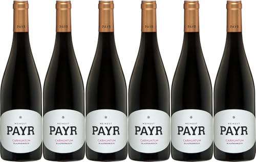 Payr Blaufränkisch Carnuntum ÖTW Gebietswein 2022 Trocken Bio (6 x 0.75 l) von WirWinzer