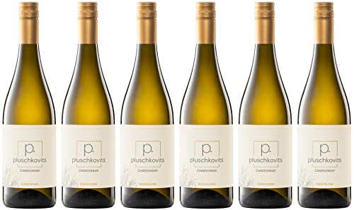 Pluschkovits Chardonnay 2022 (6 x 0.75 l) von WirWinzer