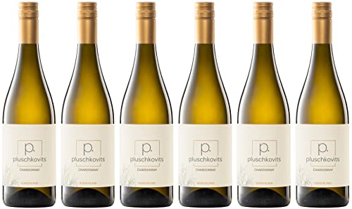 Pluschkovits Chardonnay 2022 (6 x 0.75 l) von WirWinzer