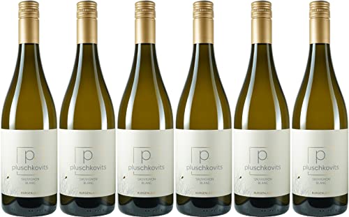 Pluschkovits Sauvignon Blanc 2022 (6 x 0.75 l) von WirWinzer