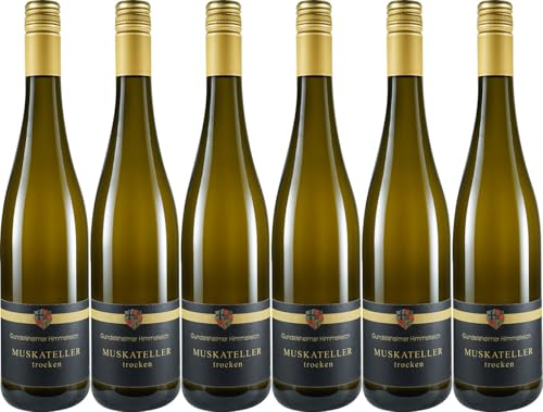 Politschek Muskat Trollinger 2023 Lieblich (6 x 0.75 l) von WirWinzer