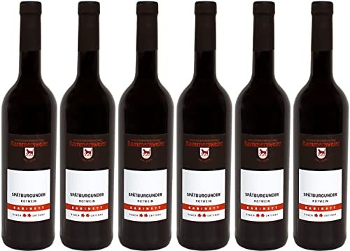 Rammersweier Spätburgunder Rotwein Kabinett 2023 Halbtrocken (6 x 0.75 l) von WirWinzer