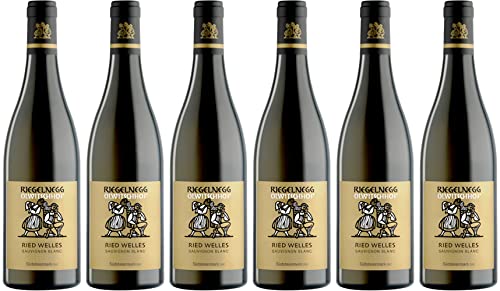 Riegelnegg Olwitschhof Sauvignon Blanc Ried Welles 2021 Trocken (6 x 0.75 l) von WirWinzer