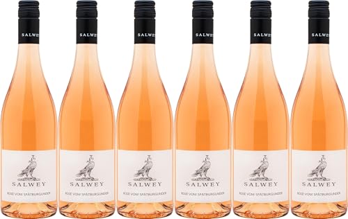 Salwey Rose vom Spätburgunder 2023 Trocken (6 x 0.75 l) von WirWinzer