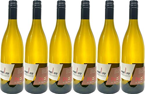 Schloss Saaleck Perle zart - seltene Rebsorte 2022 Halbtrocken Naturland Bio (6 x 0.75 l) von WirWinzer