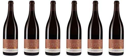 Schmidt Spätburgunder & Regent Cuvée 2023 Lieblich (6 x 0.75 l) von WirWinzer