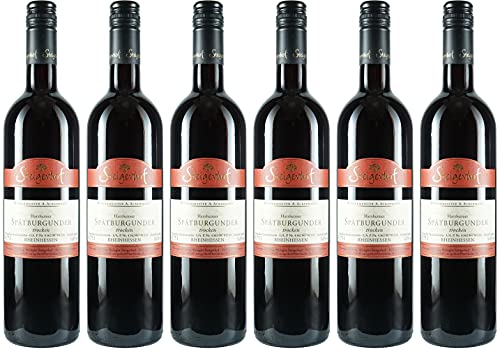 Steigerhof Spätburgunder 2024 Trocken (6 x 0.75 l) von WirWinzer