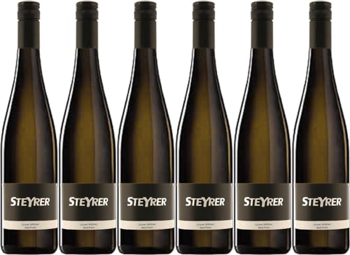 Steyrer Grüner Veltliner Traisental Ried Point DAC 2023 Trocken (6 x 0.75 l) von WirWinzer