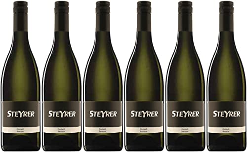 Steyrer Zweigelt Barrique 2020 Trocken (6 x 0.75 l) von WirWinzer