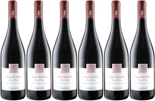 Tenuta Ferrero Rosso Puglia IGP 2023 Trocken (6 x 0.75 l) von WirWinzer