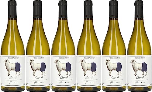 Terre D'Arengo Pecorino Offida DOCG Trocken (6 x 0.75 l) von WirWinzer