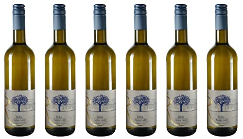 Thomas Reinhardt Ungsteiner Herrenberg Riesling 2023 Trocken (6 x 0.75 l) von WirWinzer