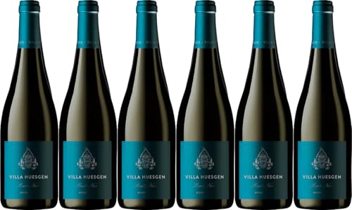Villa Huesgen VILLA HUESGEN Pinot Noir 2023 (6 x 0.75 l) von WirWinzer