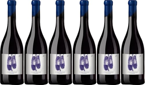 Vinyes dels Aspres Contrapàs blanc Empordà DO 2024 Trocken (6 x 0.75 l) von WirWinzer