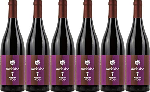 Wedekind Pinotin 2019 Trocken Ecovin Bio (6 x 0.75 l) von WirWinzer