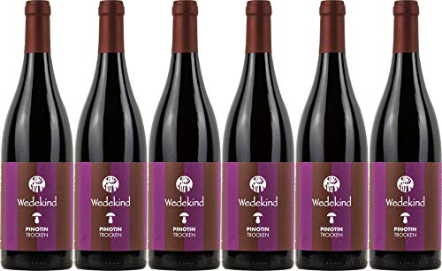 Wedekind Pinotin 2019 Trocken Ecovin Bio (6 x 0.75 l) von WirWinzer