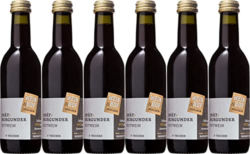 Wein & Hof Hügelheim Spätburgunder Rotwein 0,25 L 2021 Trocken (6 x 0.25 l) von WirWinzer