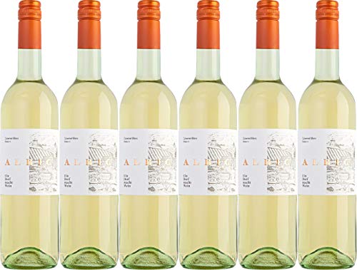Weingenossenschaft Albig Cabernet Blanc 2023 Feinherb (6 x 0.75 l) von WirWinzer