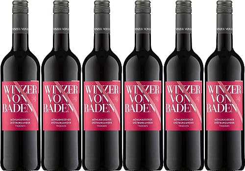 Winzer von Baden Mühlhausener Spätburgunder 2022 Trocken (6 x 0.75 l) von WirWinzer