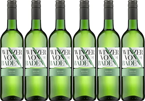 Winzer von Baden Riesling Baden 2022 Trocken (6 x 0.75 l) von WirWinzer