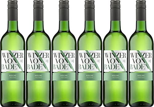 Winzer von Baden Riesling Baden 2022 Trocken (6 x 0.75 l) von WirWinzer