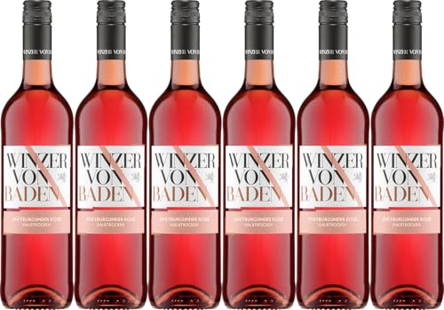 Winzer von Baden Spätburgunder Rosé 2023 Halbtrocken (6 x 0.75 l) von WirWinzer
