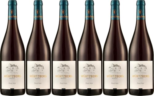 Würtzberg Pinot Noir 2022 Trocken (6 x 0.75 l) von WirWinzer