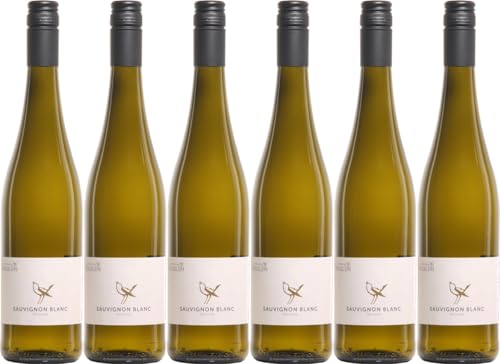 am Vögelein Sauvignon Blanc 2024 Trocken (6 x 0.75 l) von WirWinzer
