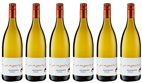 st.georgenhof Grauburgunder 2024 Feinherb (6 x 0.75 l) von WirWinzer