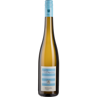 Riesling trocken (Bio) - 2022 - Wittmann - Deutscher Weißwein von Wittmann