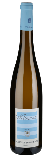 Weisser Burgunder trocken (Bio) - 2021 - Wittmann - Deutscher Weißwein Weisser Burgunder trocken (Bio) - 2021 - Wittmann - Deutscher Weißwein von Wittmann