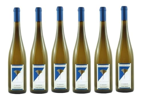 6x 0,75l - 2023er - Wolfram Proppe - Auxerrois - Qualitätswein Saale-Unstrut - Deutschland - Weißwein trocken 6x 0,75l - 2023er - Wolfram Proppe - Auxerrois - Qualitätswein Saale-Unstrut - Deutschland - Weißwein trocken von Wolfram Proppe