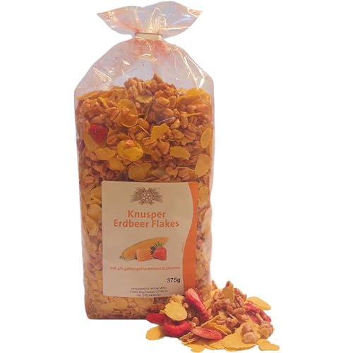 Erdbeer Müsli // Früchte Müsli // Knuspermüsli - Regional Erdbeer Müsli // Früchte Müsli // Knuspermüsli - Regional von Wollblüte