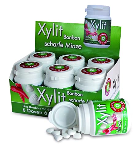 Xylit Birkenzucker Bonbon Frische Minze für angenehmen Atem | ohne Aspartam | 6 Dosen zu je 100 Stk | 600 Bonbons - 420 g Inhalt von Xund Xüsst